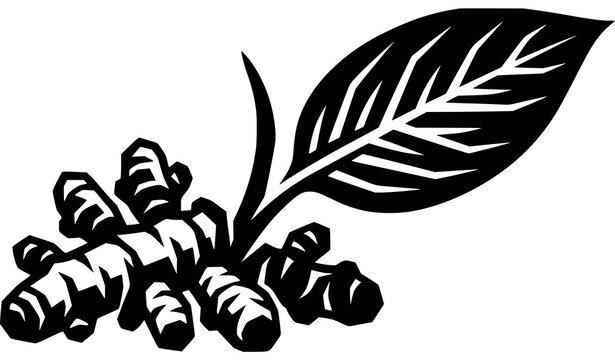 Abstract turmeric root vector graphic bold black and white organic spice silhouette illustration logo