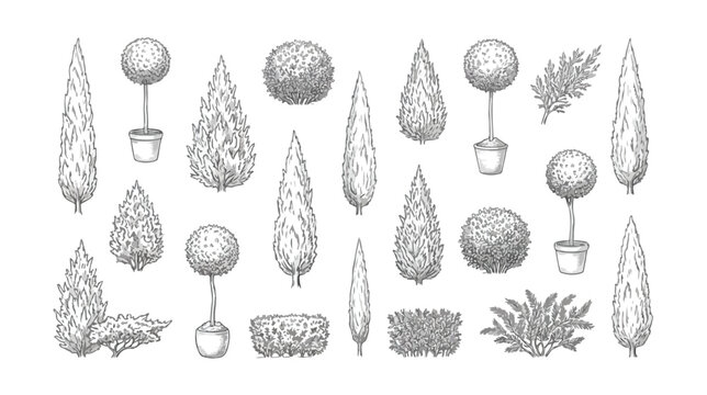 Vintage hand drawn topiary trees and garden shrubs, set of 20 engraved botanical vector elements, classic landscape architecture greenery icons