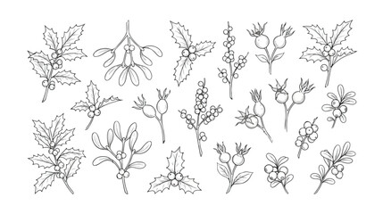 Hand drawn Christmas botanical line art set, winter holly and mistletoe berry branches vector, minimalist floral holiday greenery illustrations © GEO