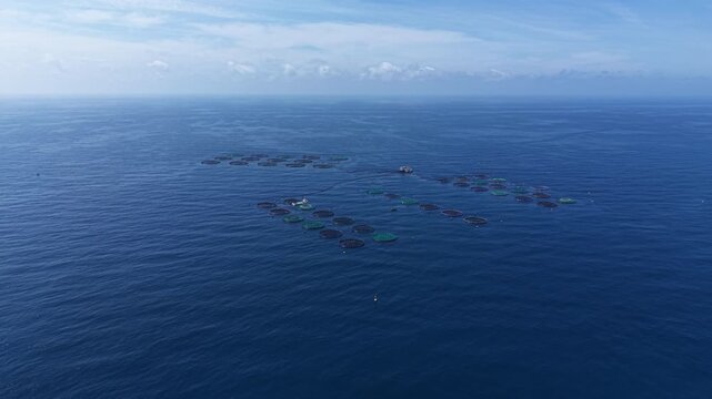Offshore fish farm with circular aquaculture cages arranged in rows on open blue ocean, viewed from above with horizon and scattered clouds in background