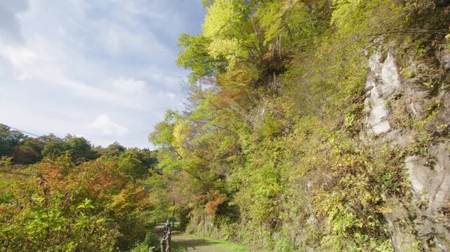 紅葉の名所 秋の鳴子峡の風景　Autumn scenery of Naruko Gorge, a famous spot for autumn foliage.