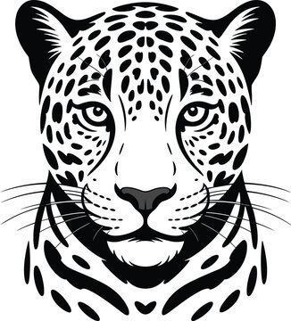 Leopard head animal vector on white background.