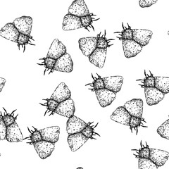 seamless pattern wings night moth hand drawn. antennae camouflage, metamorphosis lepidoptera, scales flutter wings night moth black sketch illustration © PikePicture