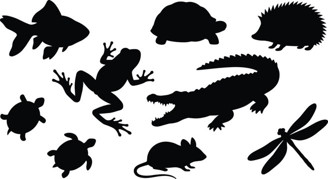 Collection of wild animal silhouettes featuring alligator frog goldfish turtle hedgehog mouse and dragonfly shapes for educational designs