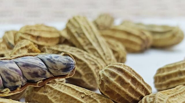 Macro shot of boiled tiger stripe peanut kernels inside open shell with blurred background.