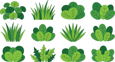 Green bushes and grass plants collection featuring lush garden foliage, decorative shrubs, and natural vegetation elements for landscape, nature, and vector design projects © MDRipon
