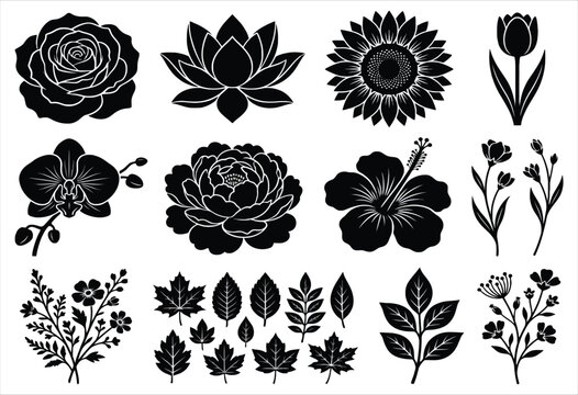 Floral silhouettes collection black shapes on a white background