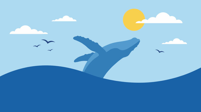 Migratory Whale Breaching Ocean Surface Wildlife