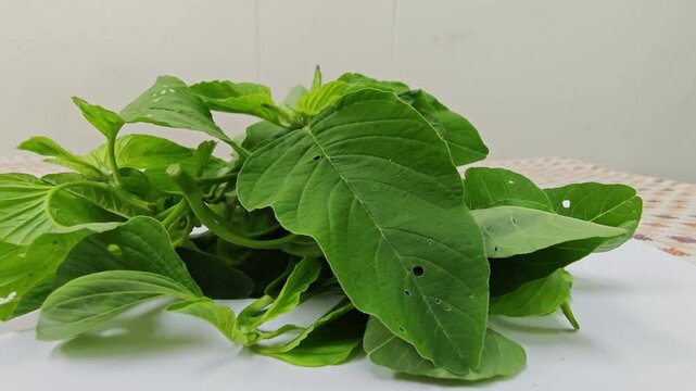 Fresh organic Chinese amaranth green spinach leaves on white background.