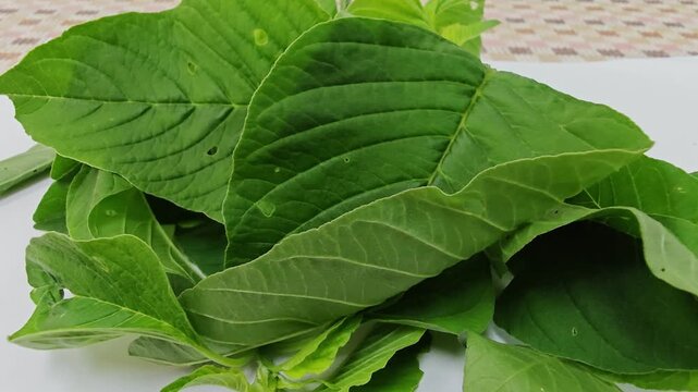Close up of fresh organic Chinese amaranth leaves background.