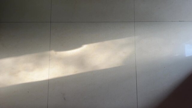 Tree Shadow on Building Wall Creating Natural Leaf Patterns, Sunlight Reflection, Minimal Architecture Design, and Peaceful Urban Aesthetic View