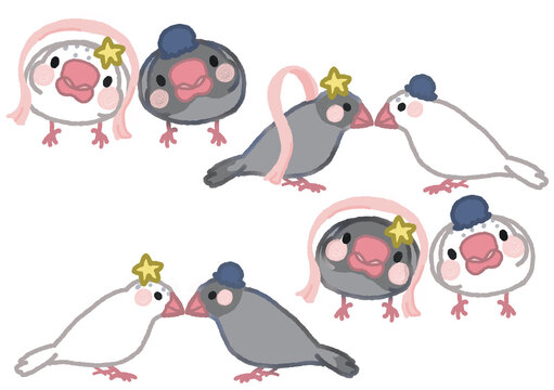 七夕の頬黒文鳥とゴマ塩文鳥のセットイラスト