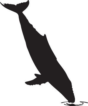 Whale silhouette, diving whale, black whale icon, ocean animal