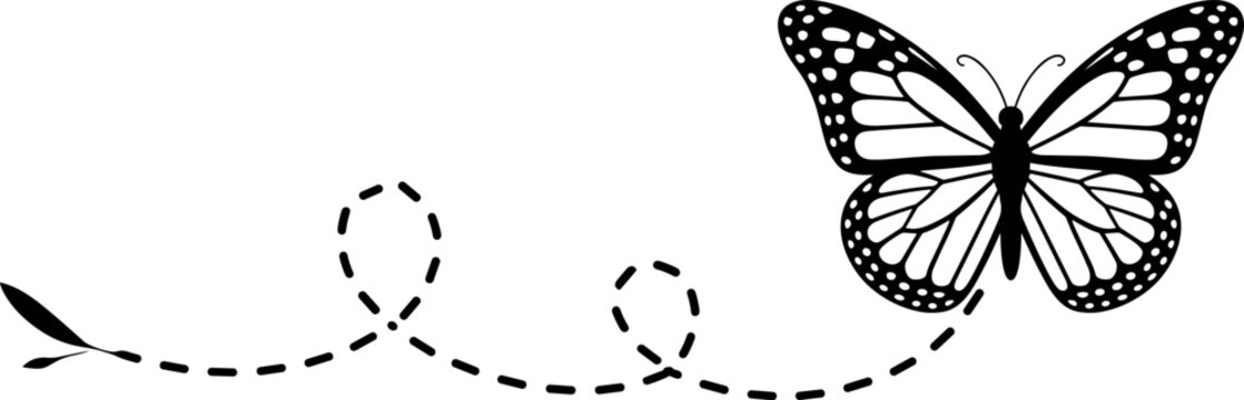  Black and white flying monarch butterfly vector illustration with dotted route line isolated on a white background