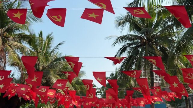 Fast walking motion under Vietnamese and Communist Party small flags waving on strings between palm trees on city embankment 
