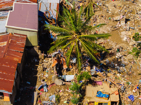 Talisay, Philippines - 11 November 2025: Aerial view of the aftermath of a natural disaster showing destroyed houses, scattered debris, and mud surrounding a palm tree.