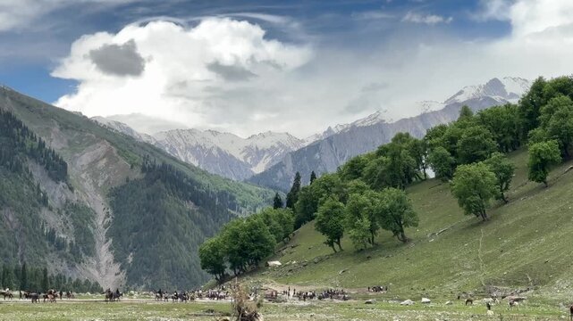 Horse Riders Arriving at Thajiwas Glacier Meadow in Sonamarg Kashmir India

Scenic view of horse riders arriving across the meadow near Thajiwas Glacier in Sonamarg, Kashmir. The footage captures towe