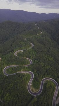 Aerial view of winding asphalt mountain road among green trees in summer. (Domani&ccedil;,İneg&ouml;l dağ yolu)