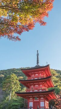Kyoto Japan time lapse at Koyasunoto Pagoda Kiyomizu dera temple in autumn season (vertical)