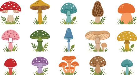  Cute Botanical Mushroom Vector Illustration Set with Magic Toadstools and Forest Fungus Elements for Autumn Patterns, Wallpaper, and Nature Graphic Designs © MDTAREK