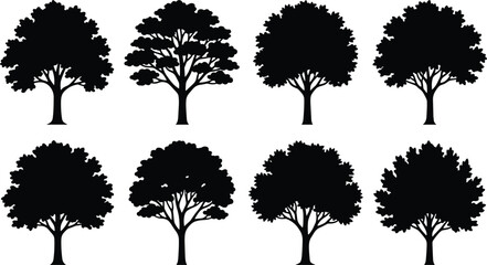 Fototapeta premium Deciduous Tree Silhouette Collection Black Vector Bundle for Landscape Design