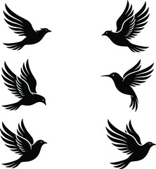 Fototapeta premium Set of flying bird silhouettes in various graceful poses isolated on a white background for creative graphic design