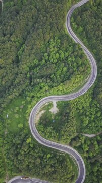 Aerial view of winding asphalt mountain road among green trees in summer. (Domani&ccedil;,İneg&ouml;l dağ yolu)