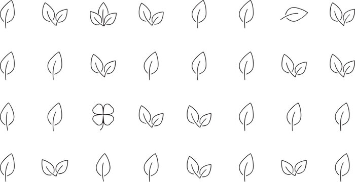 line drawn leaves and a four leaf clover on white background