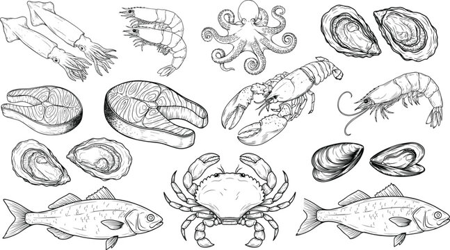 Hand Drawn Seafood Vector Icon Set with Fish Steak, Crab, Lobster, Shrimp, Octopus, Squid, and Oyster Shell Sketches for Restaurant Menu Designs and Food Packaging