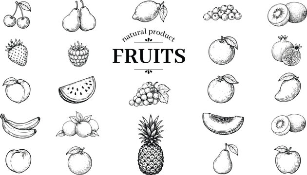 Vintage Hand Drawn Fruit Sketch Icon Set with Pineapple Watermelon Strawberry Lemon Apple and Banana for Healthy Organic Food Product Menu Label Design