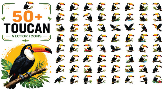 Toucan vector icons set, 50 plus tropical bird illustrations, exotic toucan wildlife characters in various poses, colorful jungle bird graphics