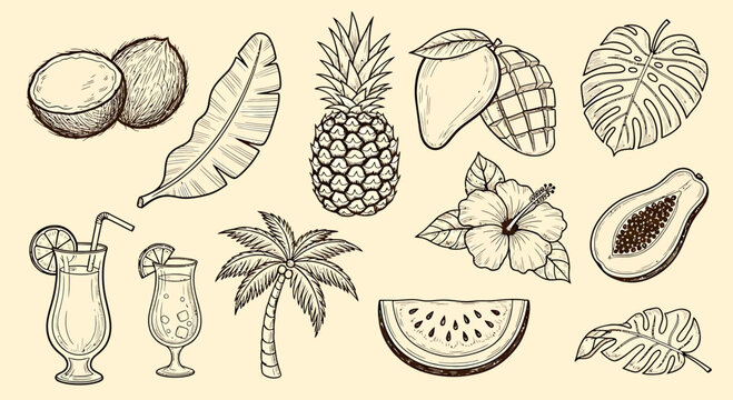 A hand drawn set collection of tropical fruits and drinks on a palm tree background