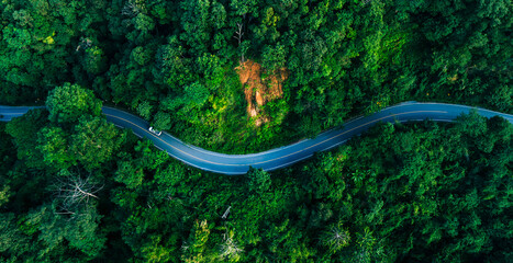 Aerial forest road illustrating carbon credit pathways and net zero strategies, ideal for sustainability reports, climate disclosures, and environmental finance projects. © Hand Robot