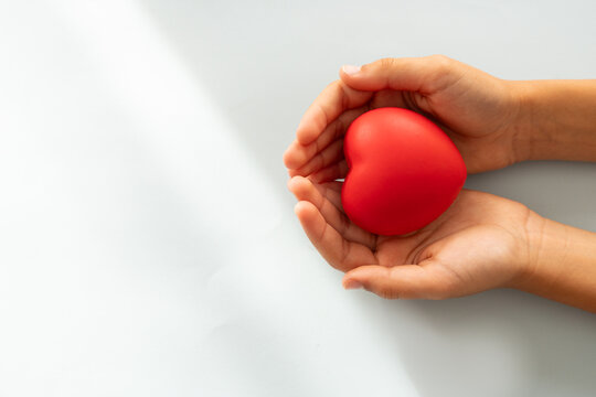 health care, love and emotional support. hands holding a red heart. white background and copy space