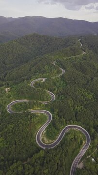 Aerial view of winding asphalt mountain road among green trees in summer. (Domani&ccedil;,İneg&ouml;l dağ yolu)