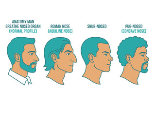 Fototapeta premium Set of four different male nose shapes and profiles illustration