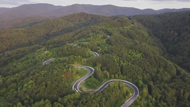 Aerial view of winding asphalt mountain road among green trees in summer. (Domani&ccedil;,İneg&ouml;l dağ yolu)