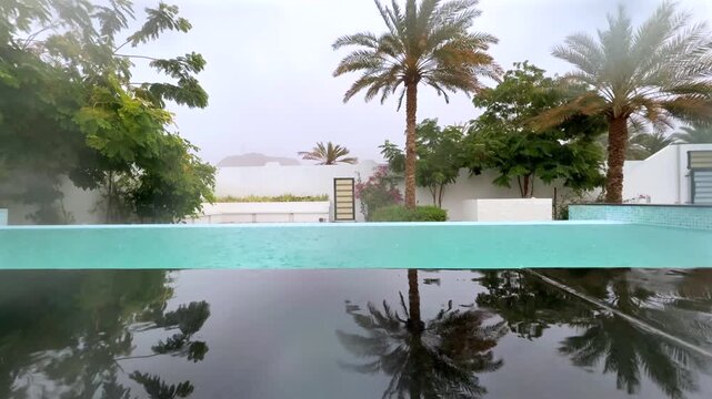 Low-angle infinity pool with palm tree reflections and distant misty sea