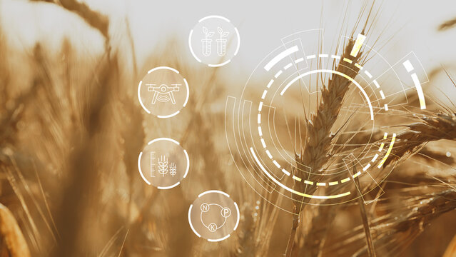 Smart farm technologies are changing how crops are grown and monitored in modern agriculture