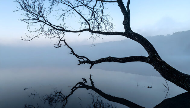 Branch reflected in still water during foggy twilight creating a minimal calm peaceful meditative zen monochrome nature landscape photograph generative AI
