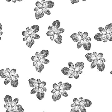 seamless pattern vanda orchid hand drawn. cymbidium miltonia, oncidium epidendrum, bulbophyllum brassia vanda orchid black sketch illustration