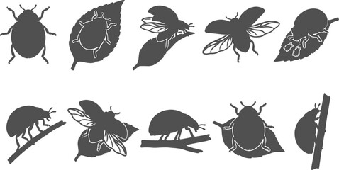 Ladybug beetle silhouettes crawling on leaves and flying on a transparent background © Nabil