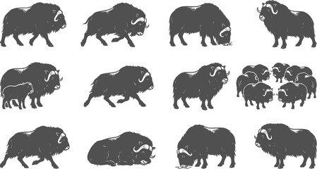 Muskox arctic animal silhouette set showing horned mammals walking running grazing and huddling © Nabil