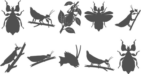Praying mantis and leaf insect silhouettes in different poses on transparent background © Nabil