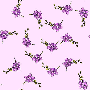pattern cymbidium orchid hand drawn. miltonia oncidium, epidendrum bulbophyllum, brassia coelogyne cymbidium orchid vector sketch illustration