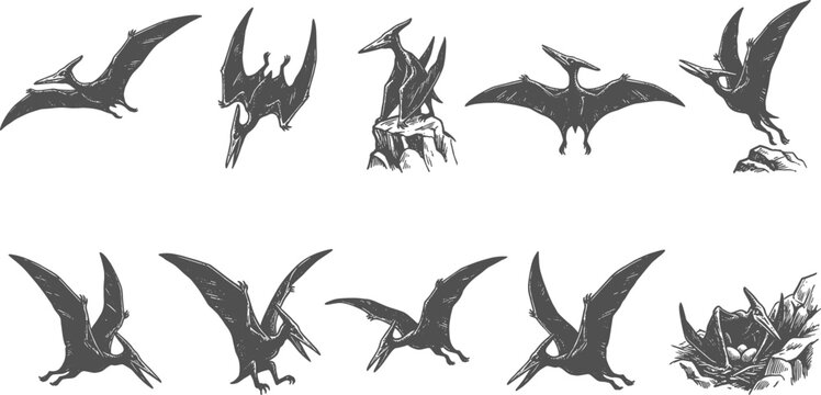 Prehistoric pterodactyl dinosaur silhouettes depicting flying reptiles nesting and perched on rocks