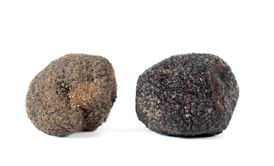 Fototapeta premium delicious black truffles