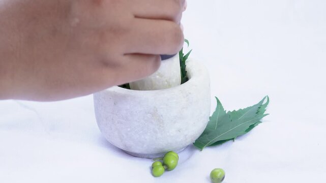 A woman hand holding a pestle and pounds neem leaves in a white stone mortar isolated on a white background. Herbal ayurvedic medicine making concept.