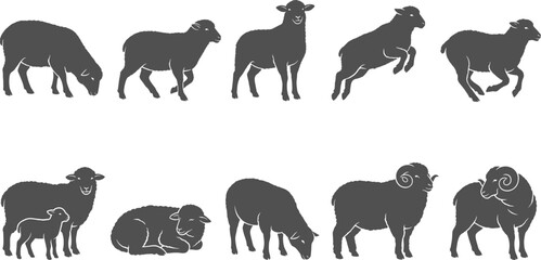 Fototapeta premium Sheep and ram silhouette collection featuring livestock grazing leaping sleeping and standing together