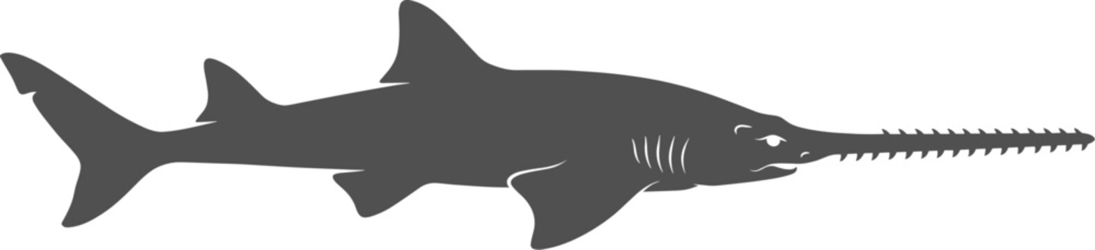 Side view silhouette of a sawfish shark swimming isolated on transparent background